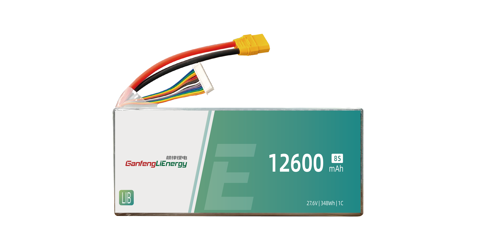 Battery Module