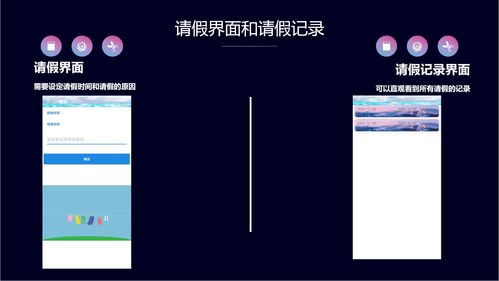 項目經(jīng)驗