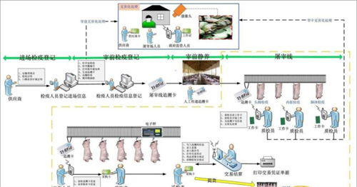 海南屠宰場稱重管理軟件與淄博定制服務 提升屠宰業(yè)智能化水平