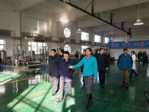 集團(tuán)總經(jīng)理王爽一行到水表廠 凈水劑分公司 四水廠進(jìn)行節(jié)日慰問(wèn)并指導(dǎo)工作